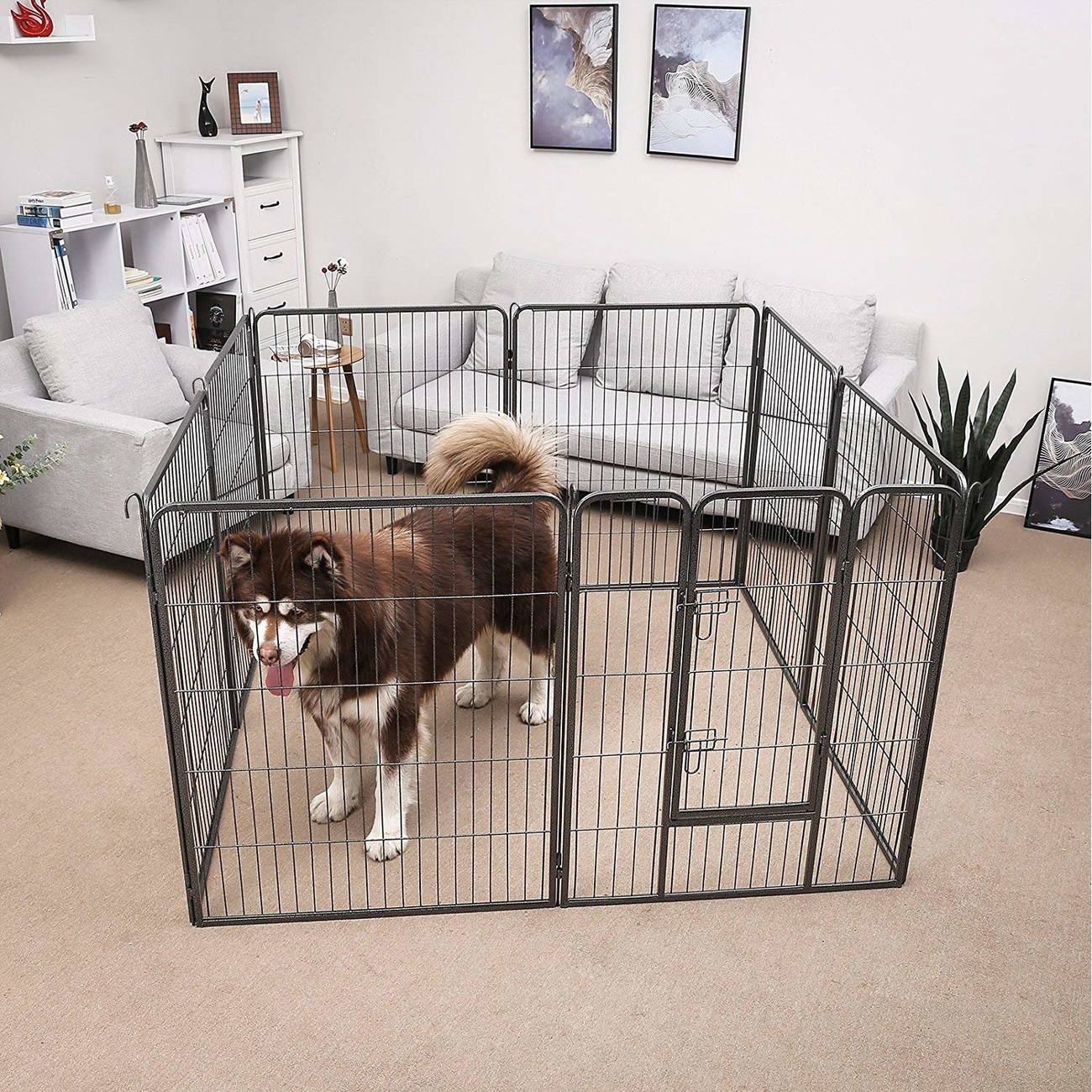 FEANDREA Welpenauslauf Laufgitter Welpenfreigehege 80x100cm Bild 8