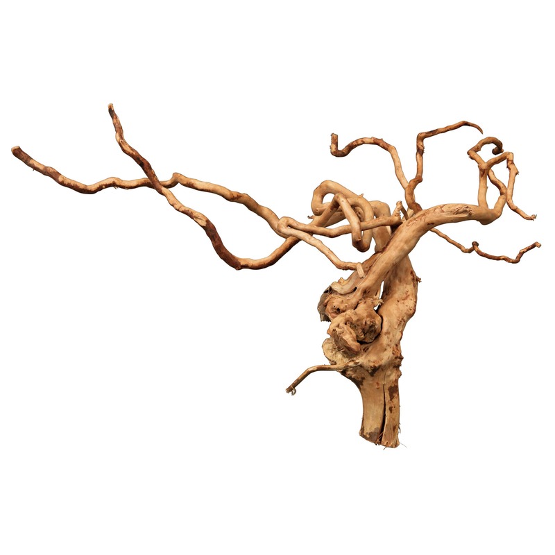 Fingerwurzel für Aquarium oder Terrarium Bild 2