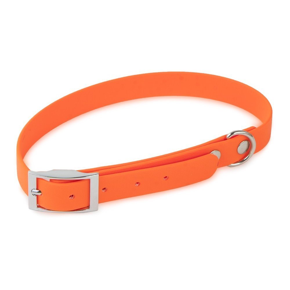 Firedog Biothane Halsband Basic Bild 1
