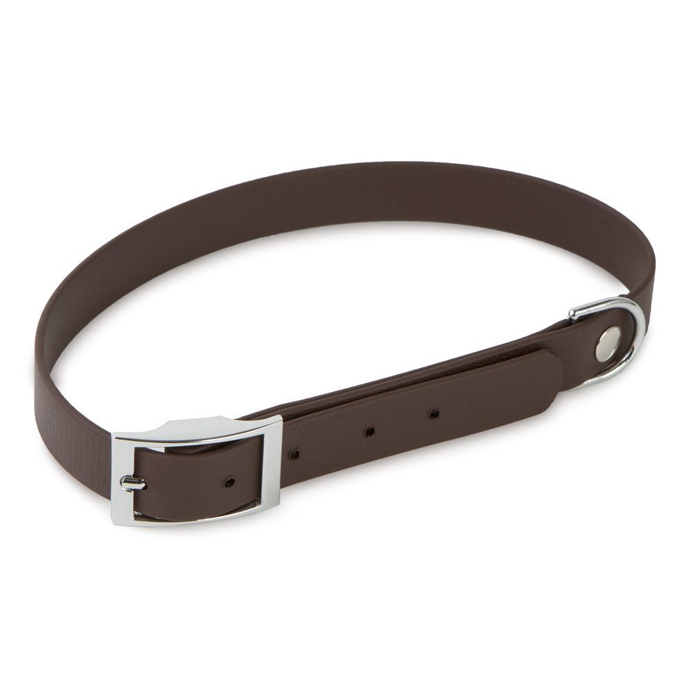 Firedog Biothane Halsband Basic Bild 3