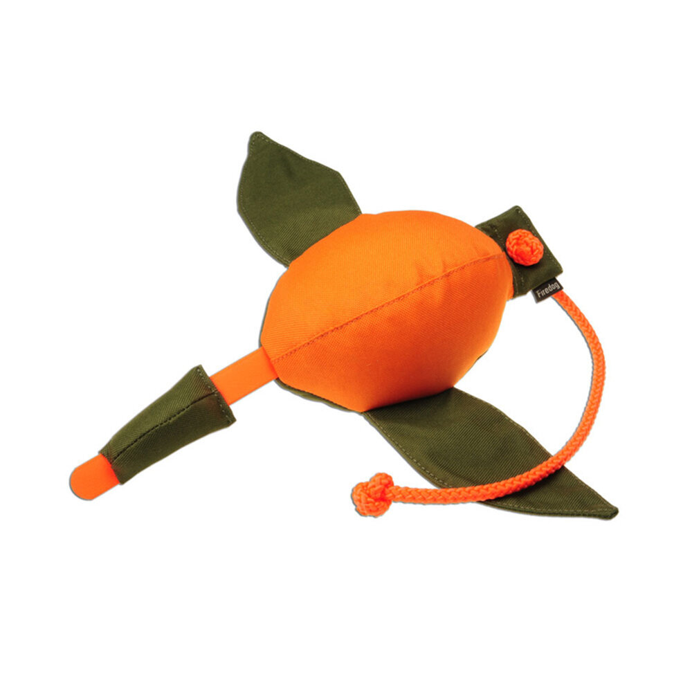 Firedog Duck Dummy Entendummy Bild 3