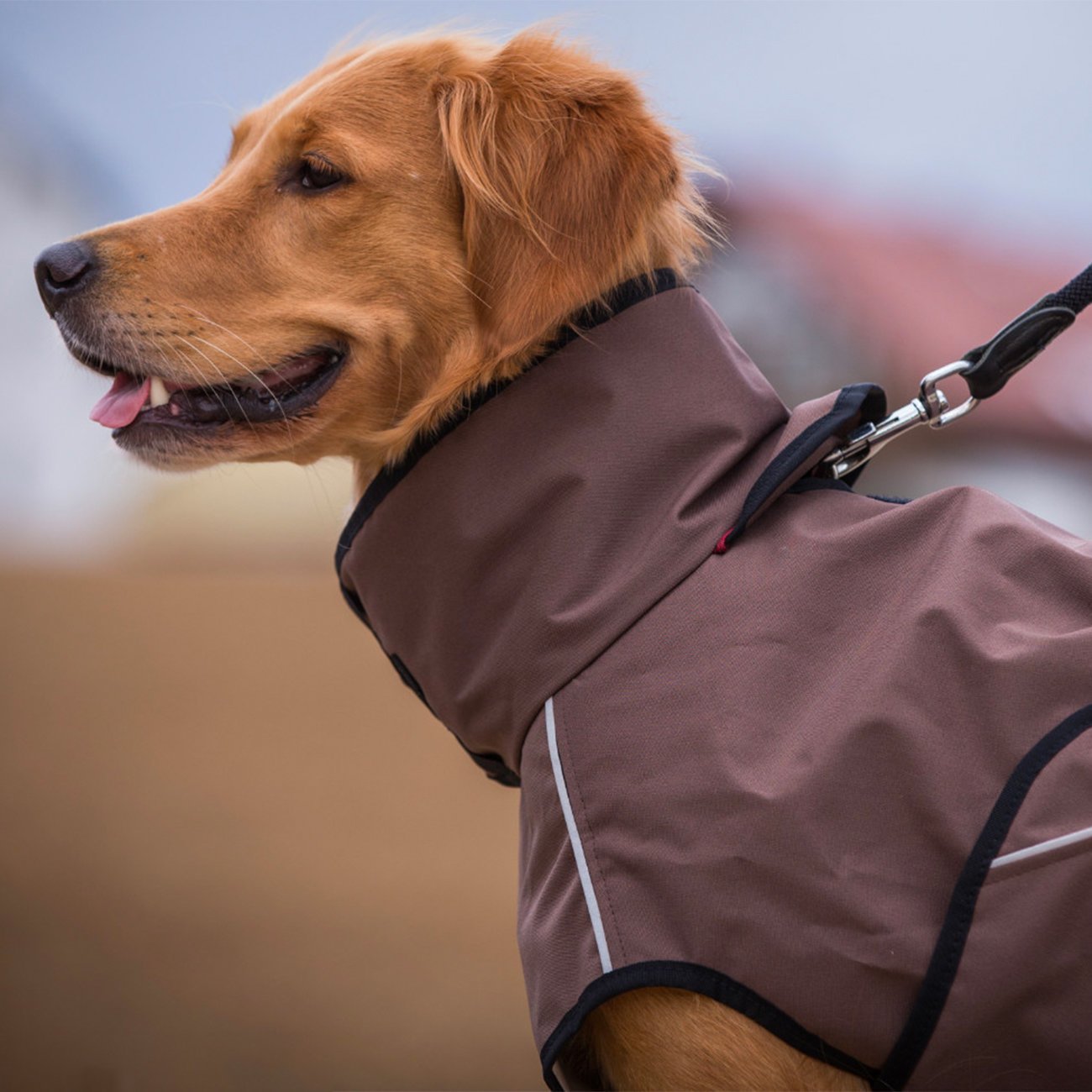 fit4dogs Active Cape LIGHT Hundemantel Bild 4