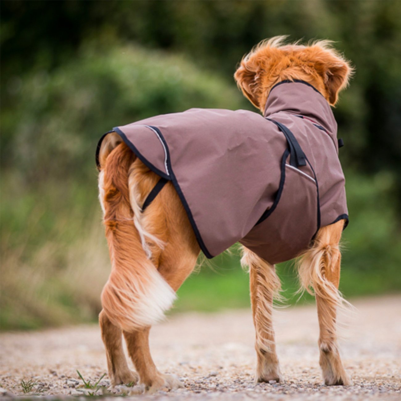 fit4dogs Active Cape LIGHT Hundemantel Bild 2