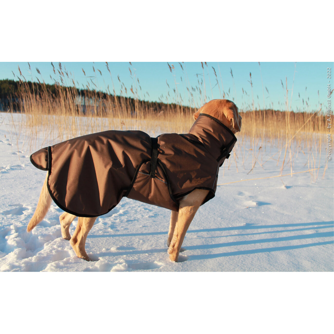 fit4dogs Active Cape PLUS Outdoor Hundejacke Bild 3