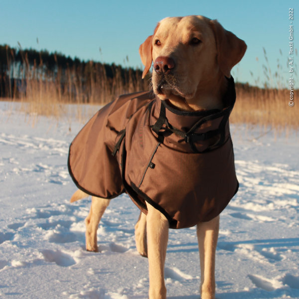 fit4dogs Active Cape PLUS Outdoor Hundejacke Bild 2