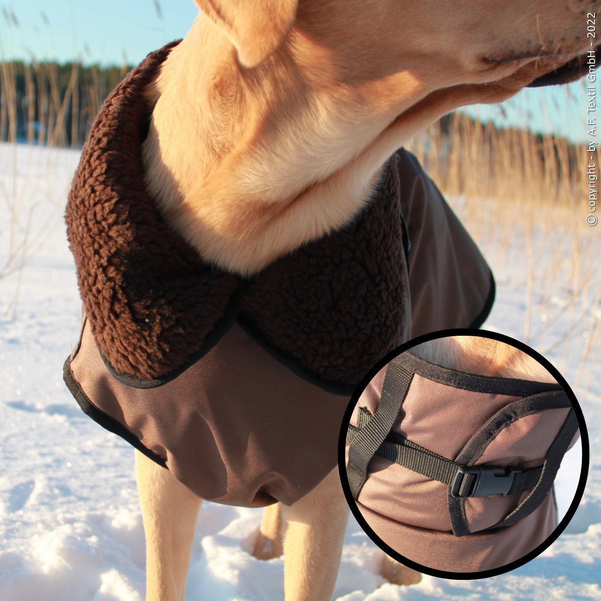 fit4dogs Active Cape PLUS Outdoor Hundejacke Bild 5