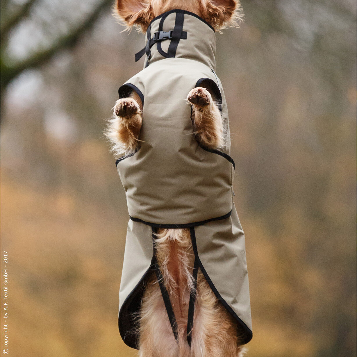 fit4dogs Active Cape PLUS Outdoor Hundejacke Bild 6