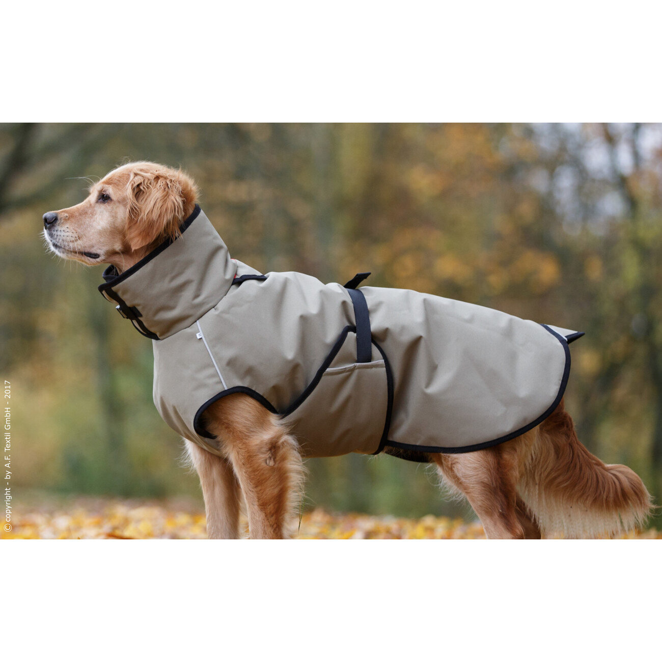 fit4dogs Active Cape PLUS Outdoor Hundejacke Bild 7