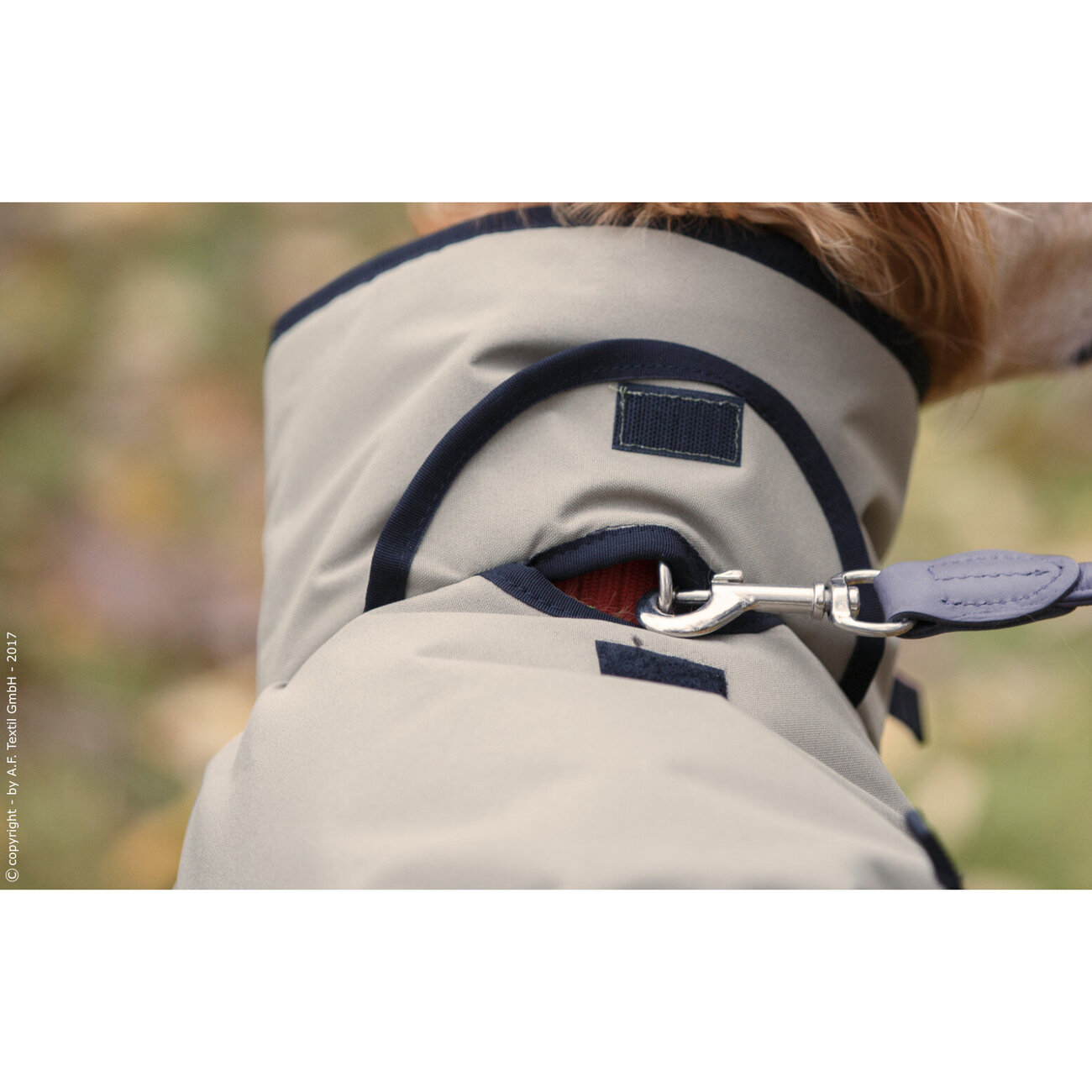 fit4dogs Active Cape PLUS Outdoor Hundejacke Bild 8