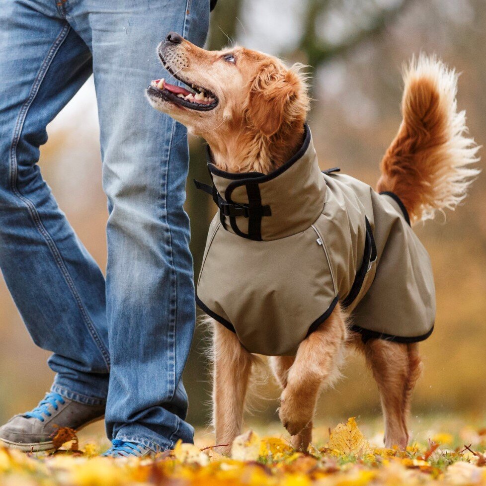 fit4dogs Active Cape PLUS Outdoor Hundejacke Bild 9