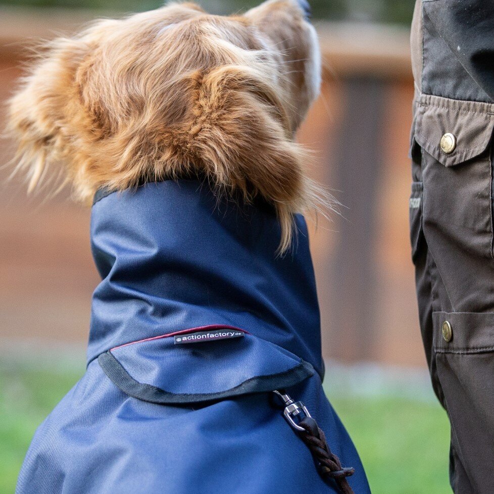 fit4dogs Active Cape Wind & Rain Mini Bild 6