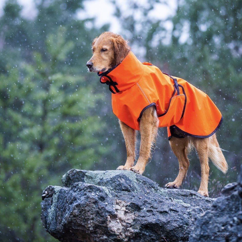 fit4dogs Active Cape Wind & Rain Mini Bild 4
