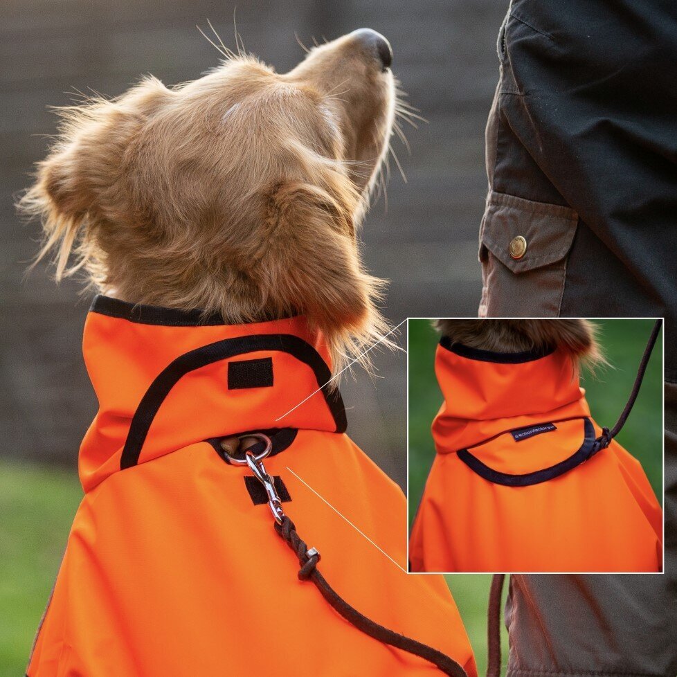 fit4dogs Active Cape Wind & Rain Mini Bild 2