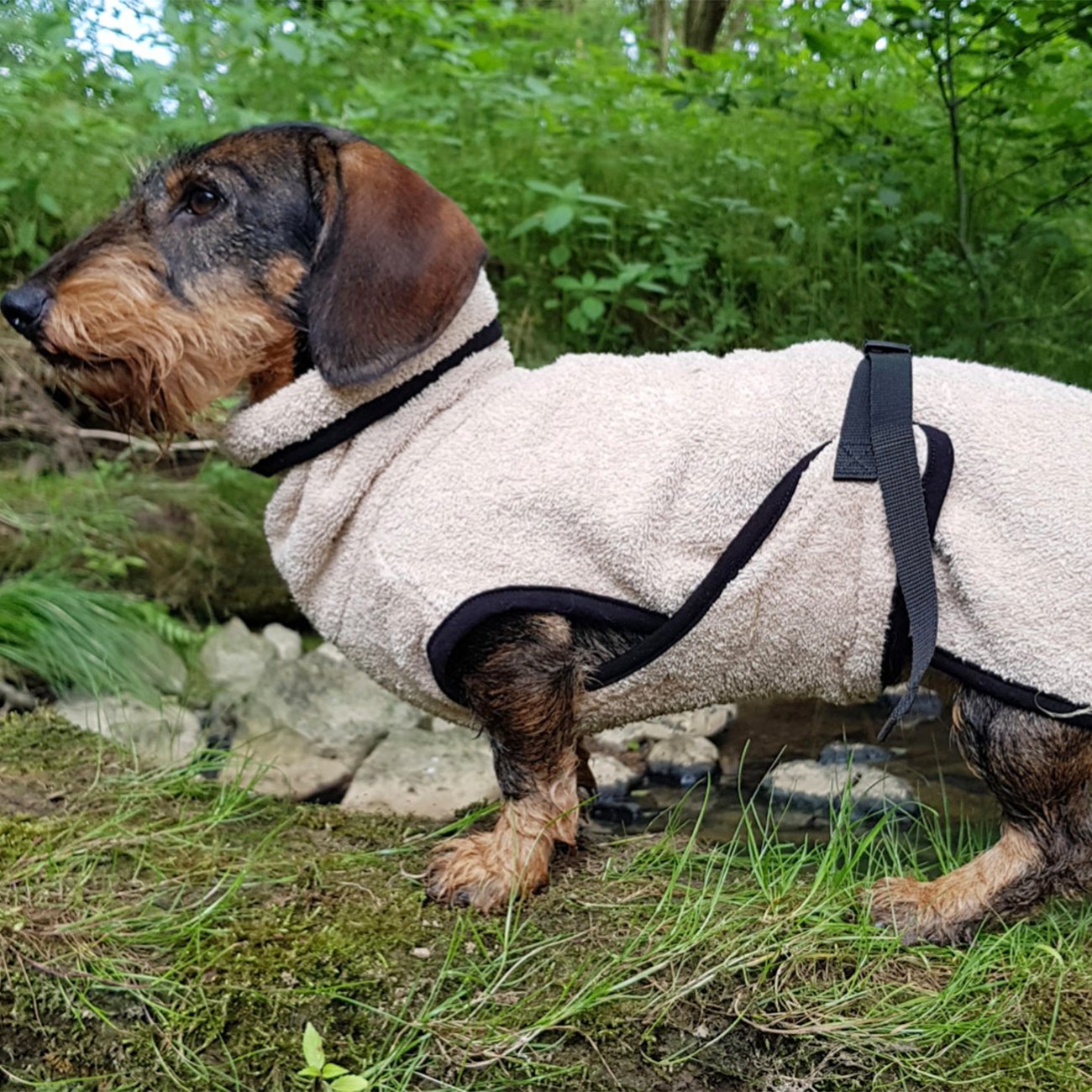 fit4dogs DryUp Cape Trockenmantel für Dackel Bild 3