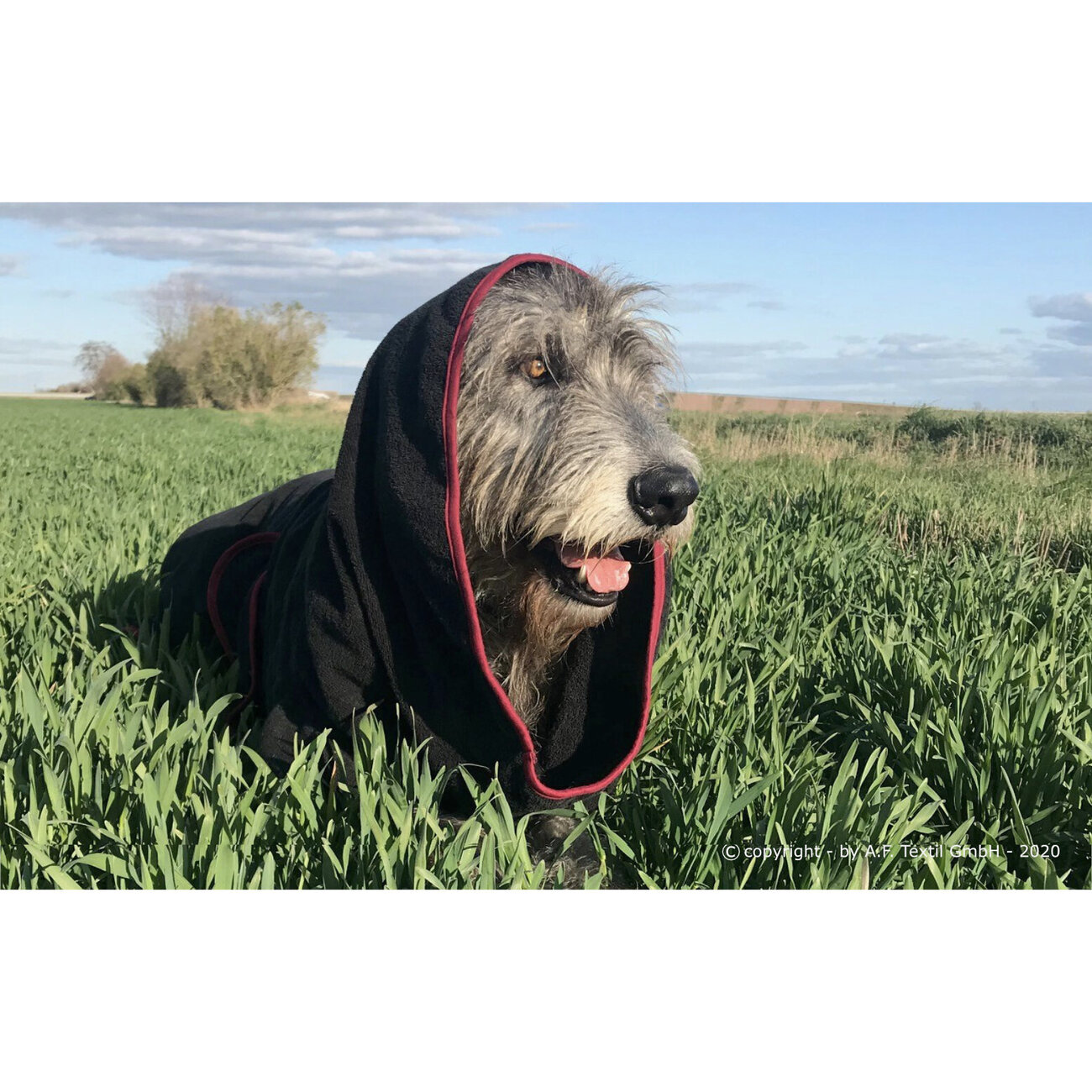 fit4dogs Dryup Cape Giga Trockenmantel für Hunde Bild 3