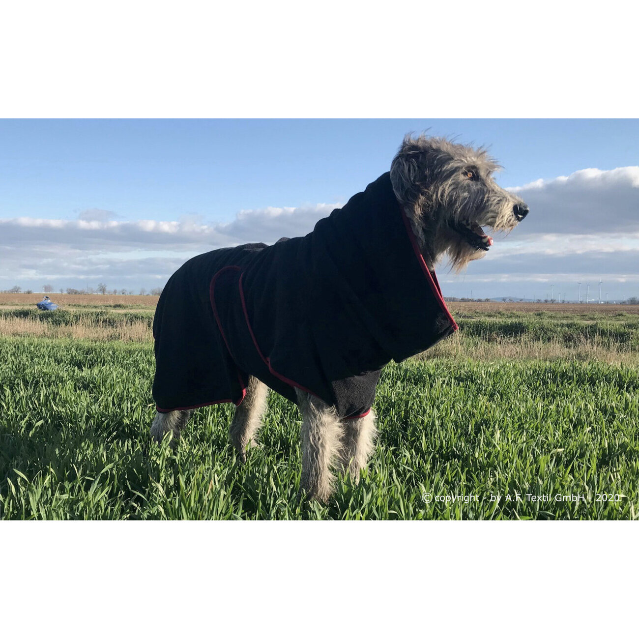 fit4dogs Dryup Cape Giga Trockenmantel für Hunde Bild 2