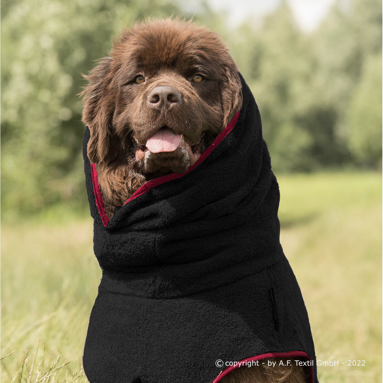 fit4dogs Dryup Cape Maxi Trockenmantel Bild 8