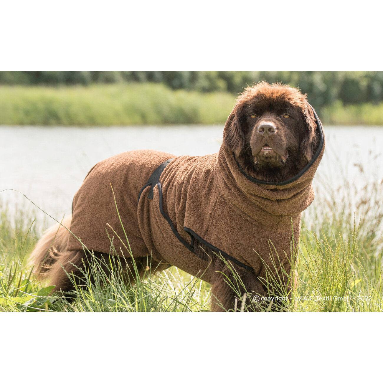 fit4dogs Dryup Cape Maxi Trockenmantel Bild 2