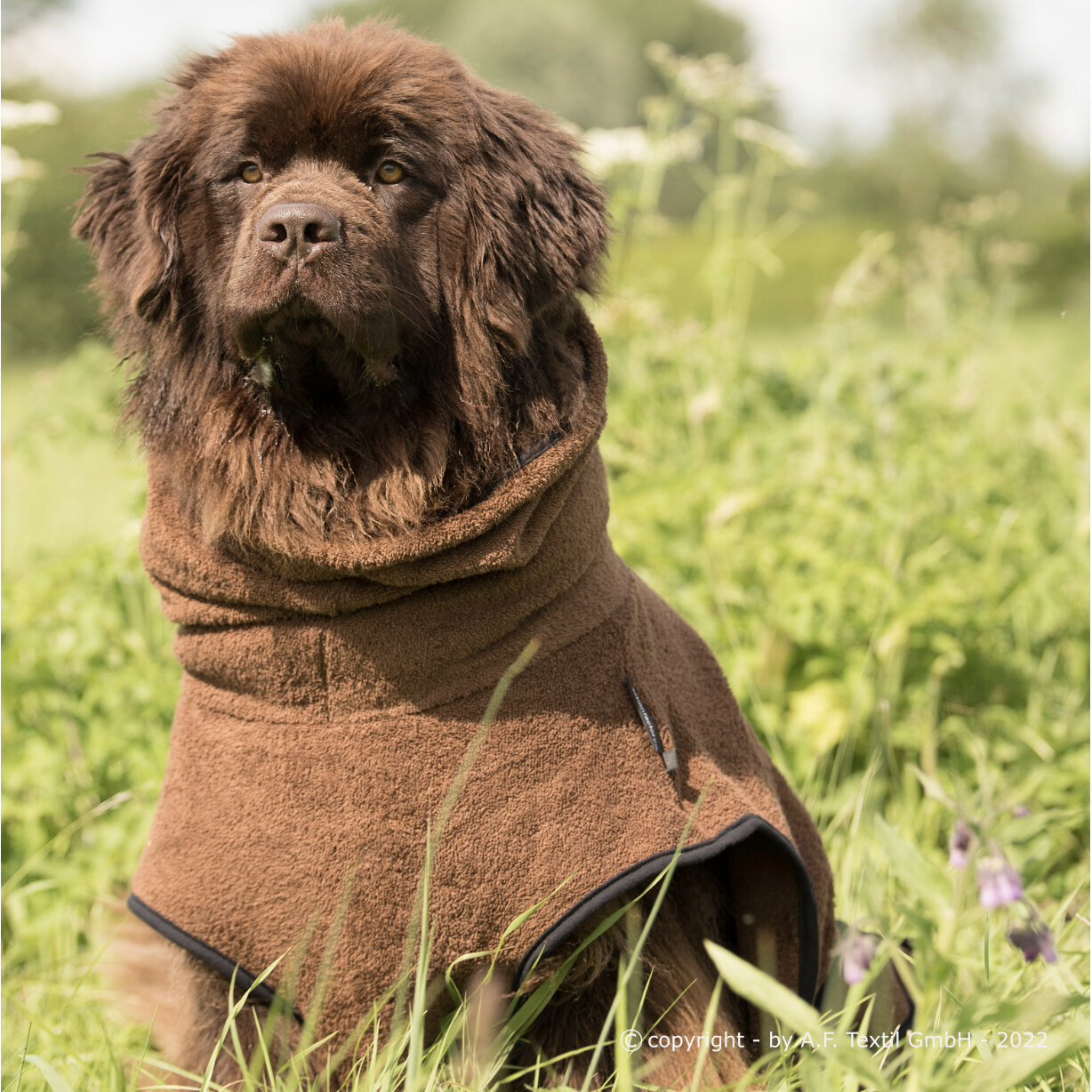 fit4dogs Dryup Cape Maxi Trockenmantel Bild 3