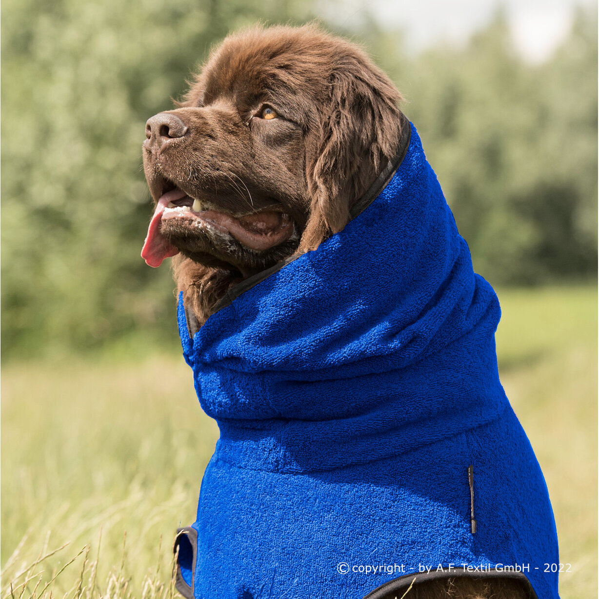 fit4dogs Dryup Cape Maxi Trockenmantel, Rückenlänge 84 cm, blau fit4dogs Dryup Cape Maxi Trockenmantel, Rückenlänge 84 cm, blau