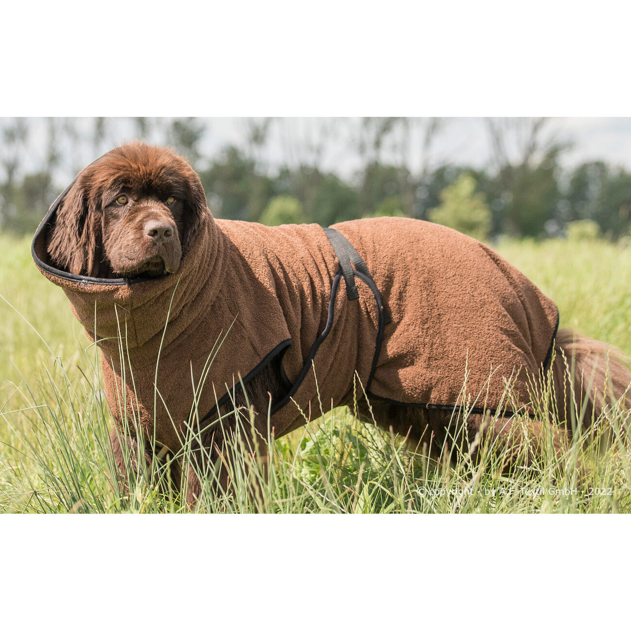 fit4dogs Dryup Cape Maxi Trockenmantel Bild 5