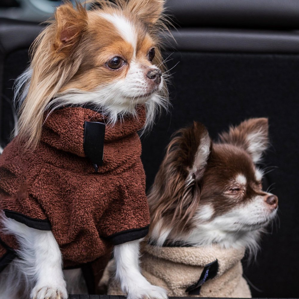 fit4dogs Dryup Cape Nano Trockenmantel für Hunde Bild 6