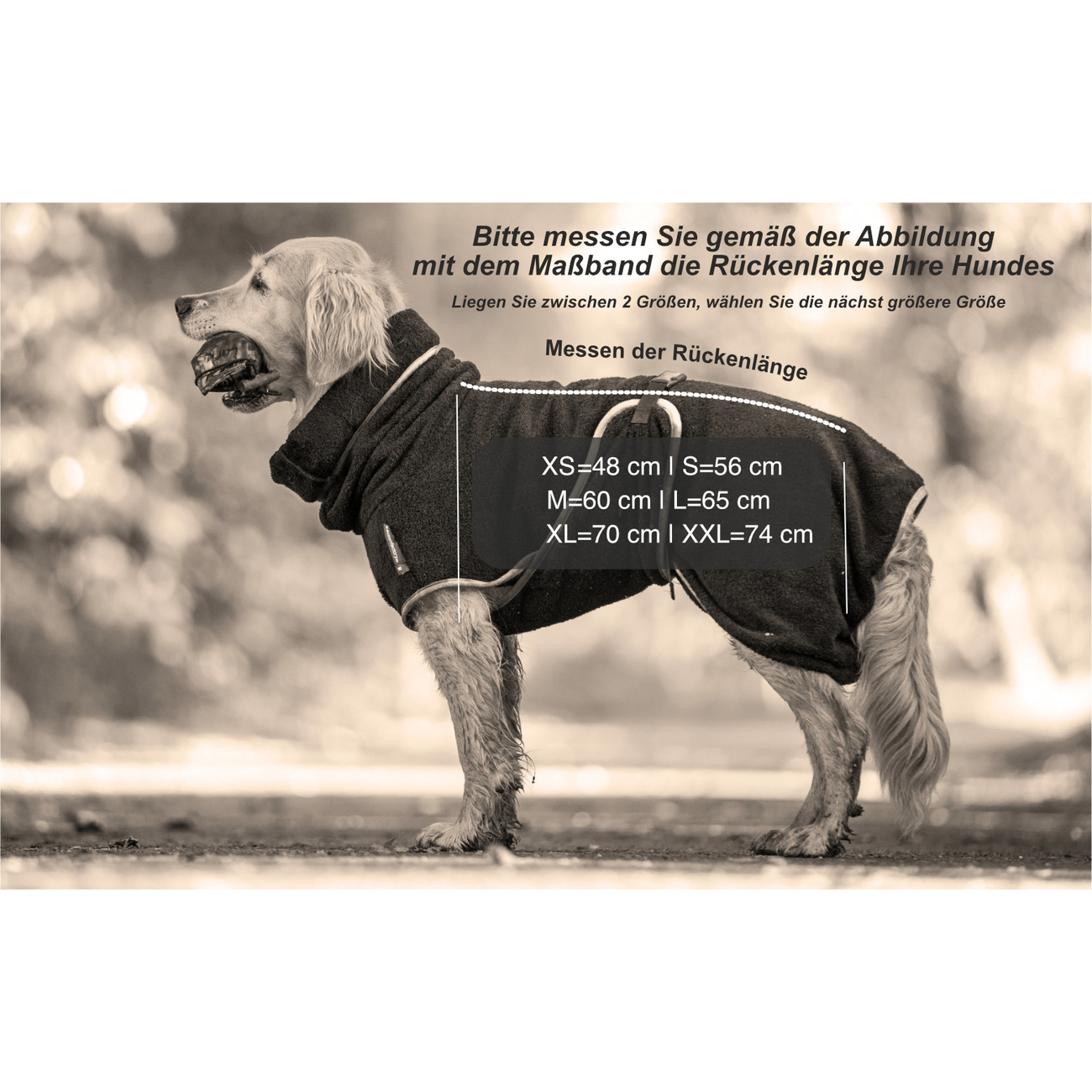 fit4dogs DryUp Cape Royal - Premium Trockenmantel für Hunde Bild 10