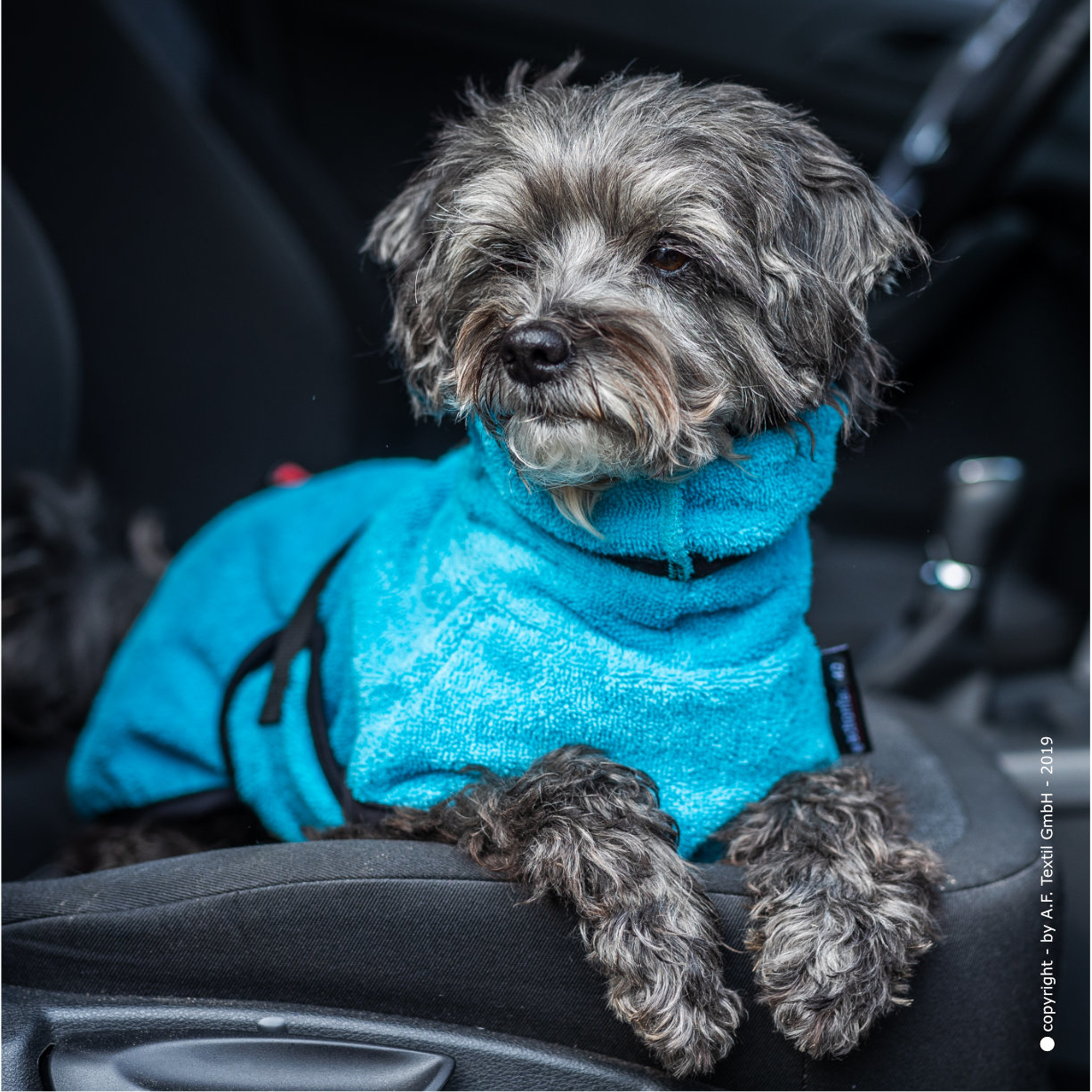 fit4dogs Dryup Mini Trockenmantel für Hunde Bild 27