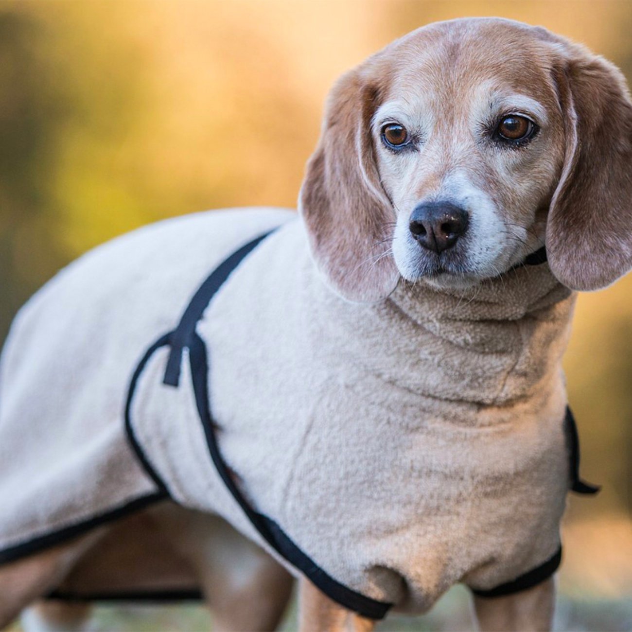 fit4dogs Dryup Mini Trockenmantel für Hunde Bild 17