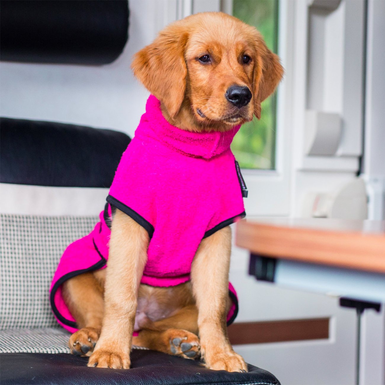 fit4dogs Dryup Mini Trockenmantel für Hunde Bild 13