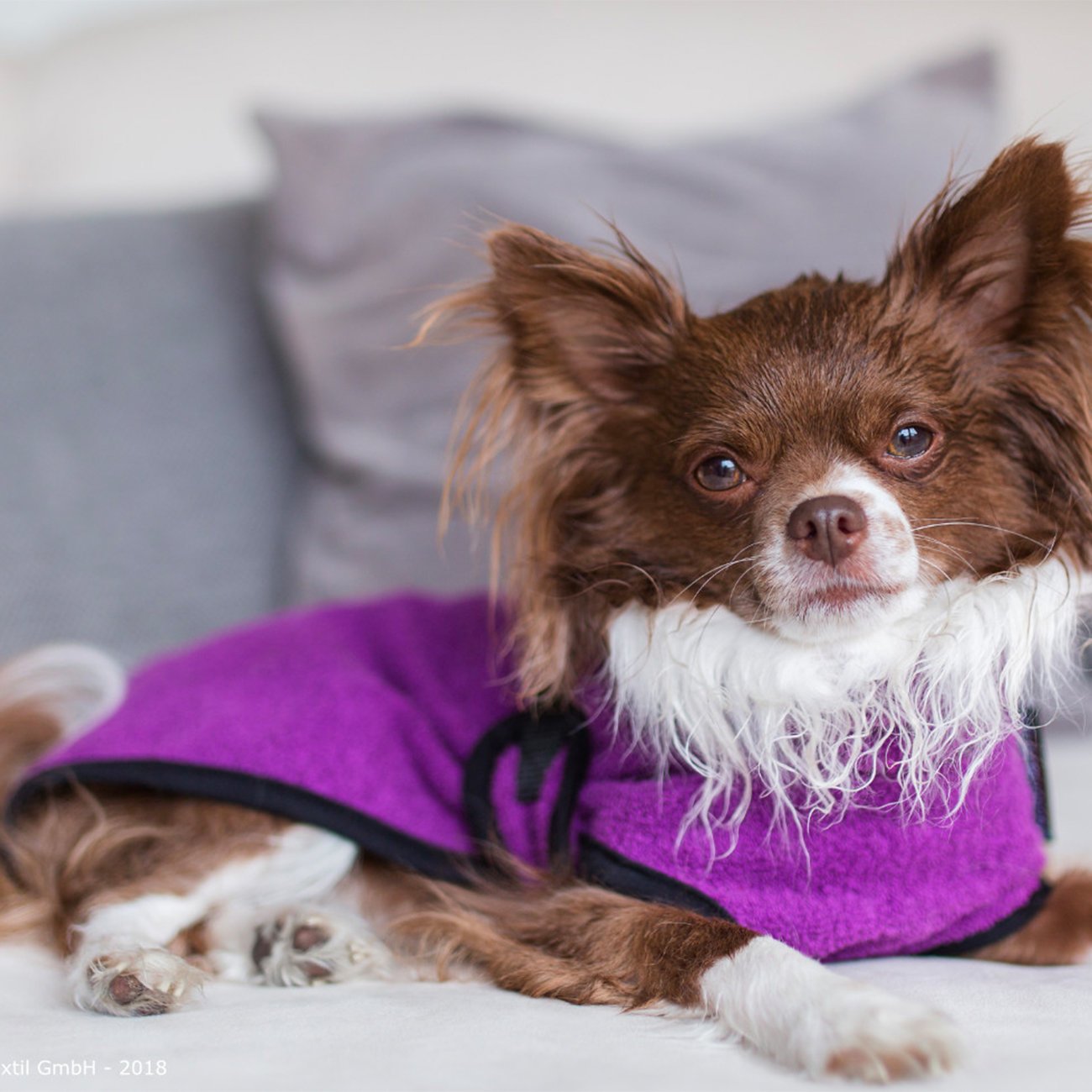 fit4dogs Dryup Mini Trockenmantel für Hunde Bild 11