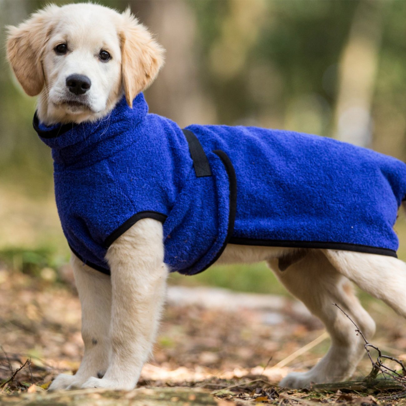 fit4dogs Dryup Mini Trockenmantel für Hunde Bild 2