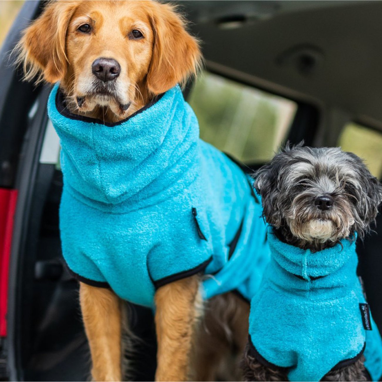 fit4dogs Dryup Mini Trockenmantel für Hunde Bild 28