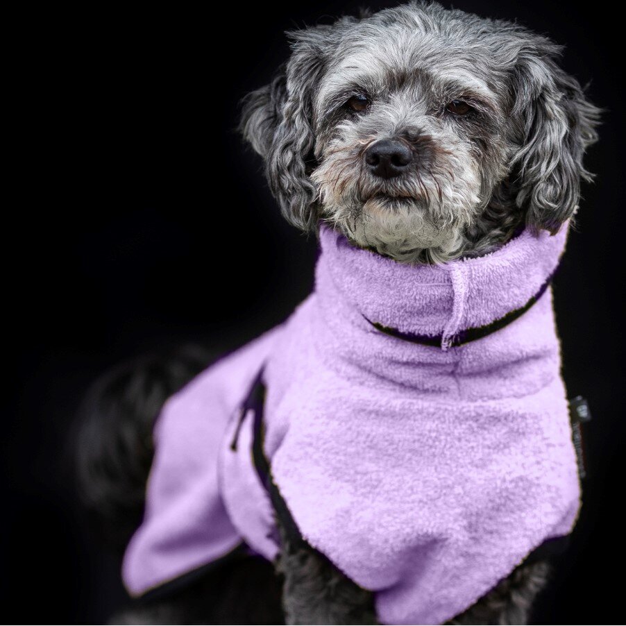 fit4dogs Dryup Mini Trockenmantel für Hunde Bild 19