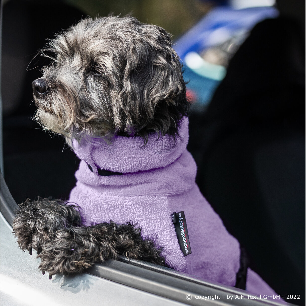 fit4dogs Dryup Mini Trockenmantel für Hunde Bild 20