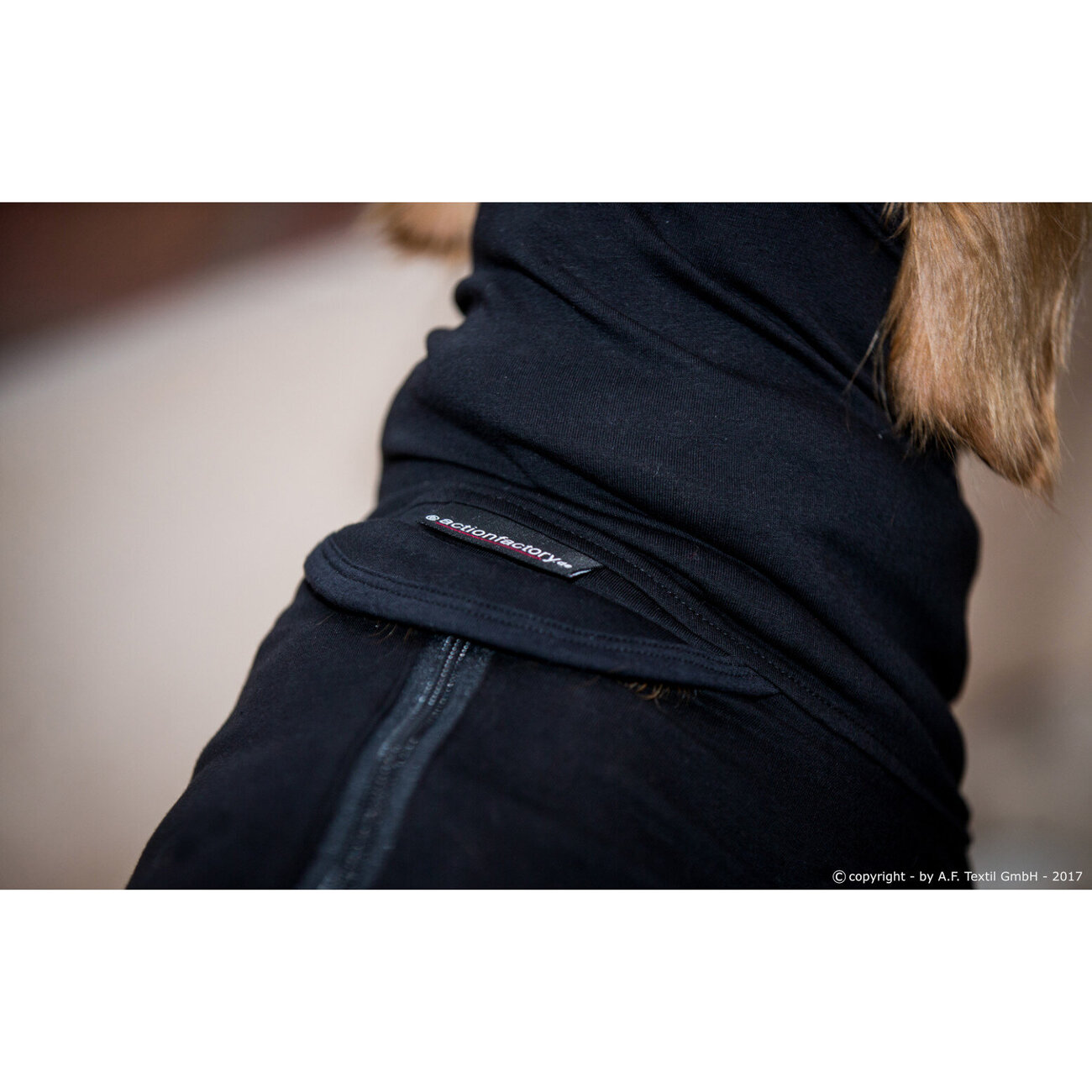 fit4dogs Medi Cape Wundschutz-Overall Bild 3