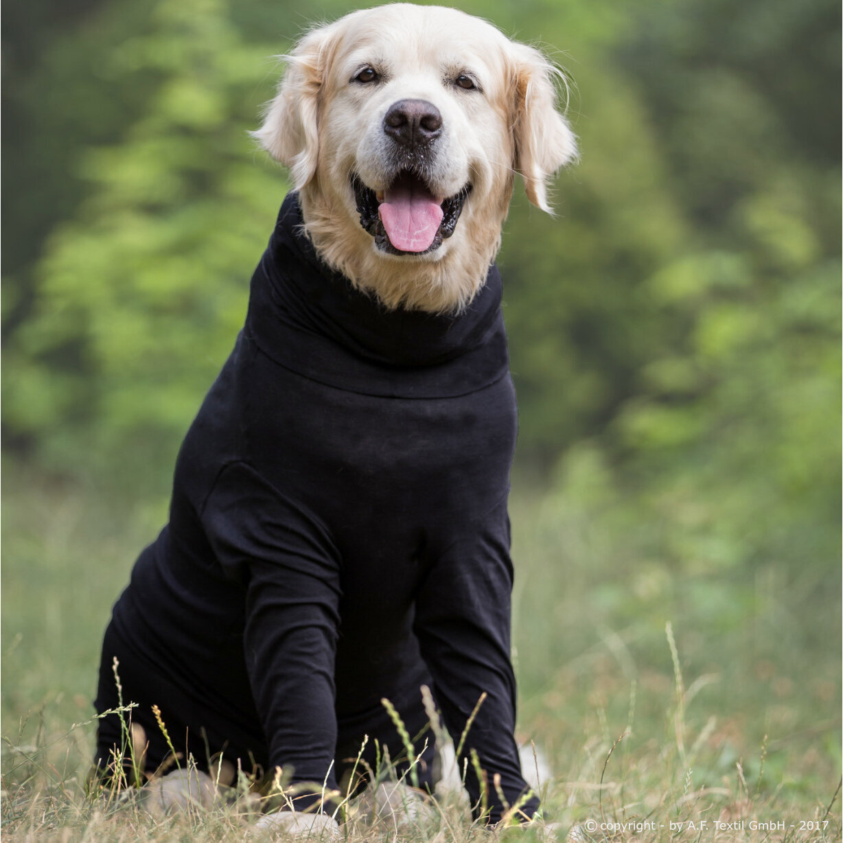 fit4dogs Medi Cape Wundschutz-Overall Bild 1