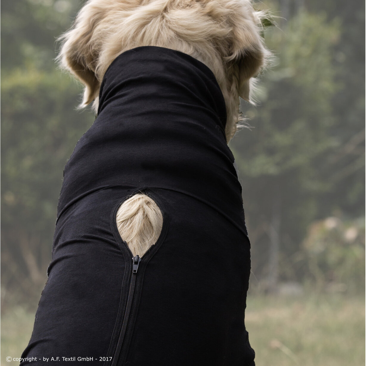 fit4dogs Medi Cape Wundschutz-Overall Bild 5