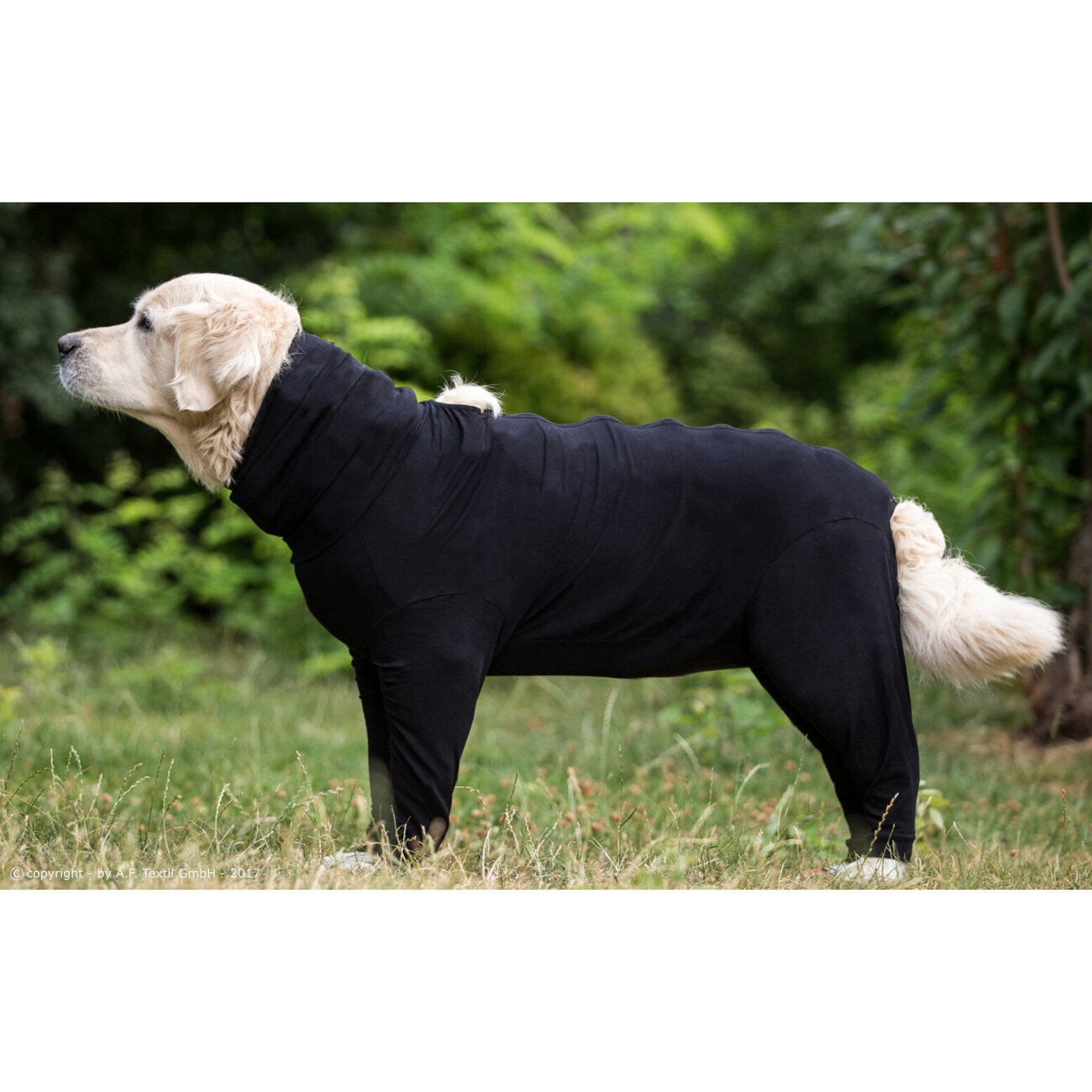 fit4dogs Medi Cape Wundschutz-Overall Bild 2