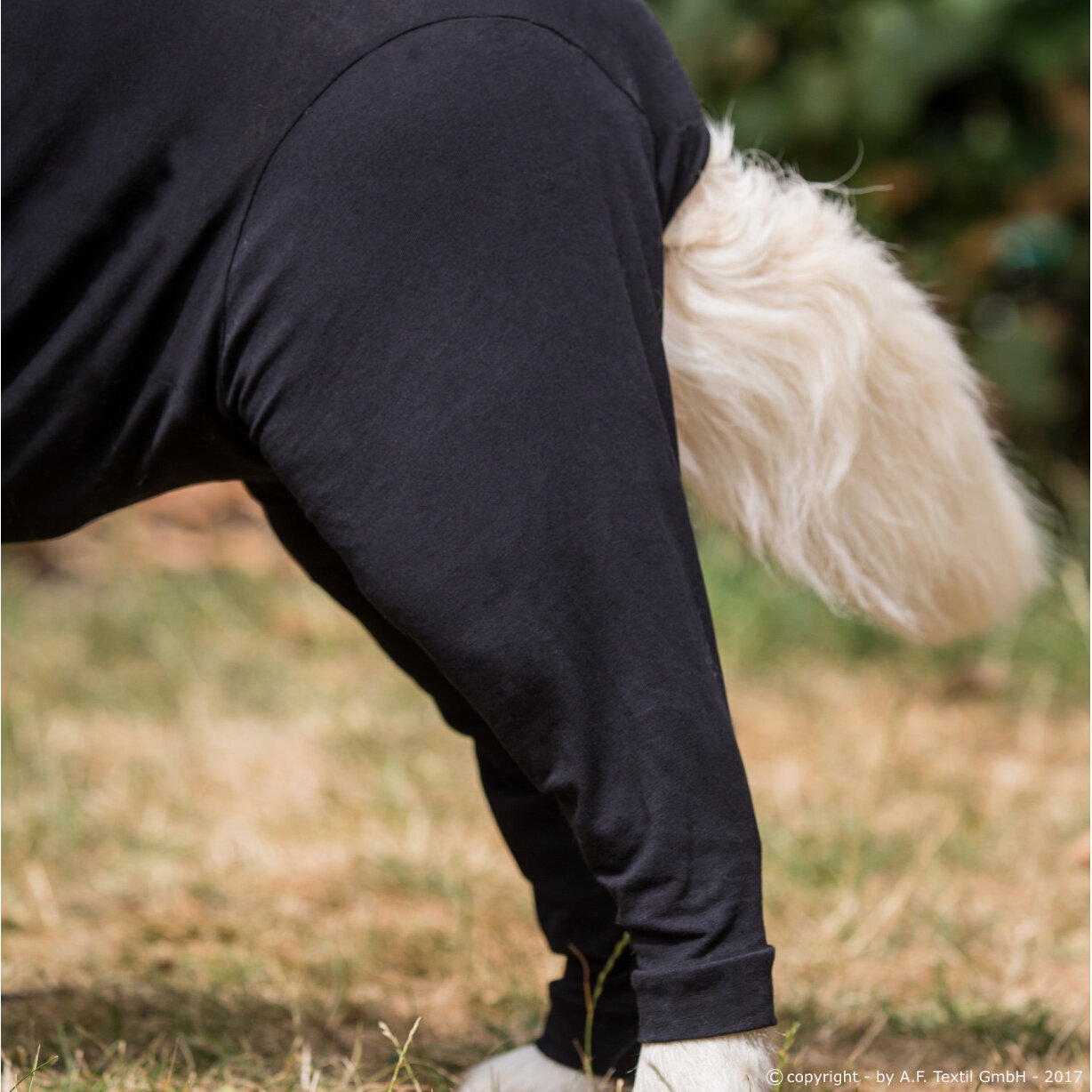 fit4dogs Medi Cape Wundschutz-Overall Bild 6