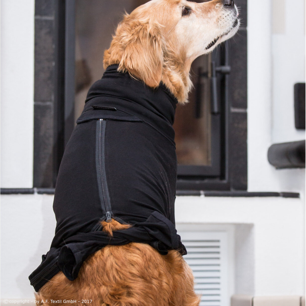 fit4dogs Medi Cape Wundschutz-Overall Bild 7