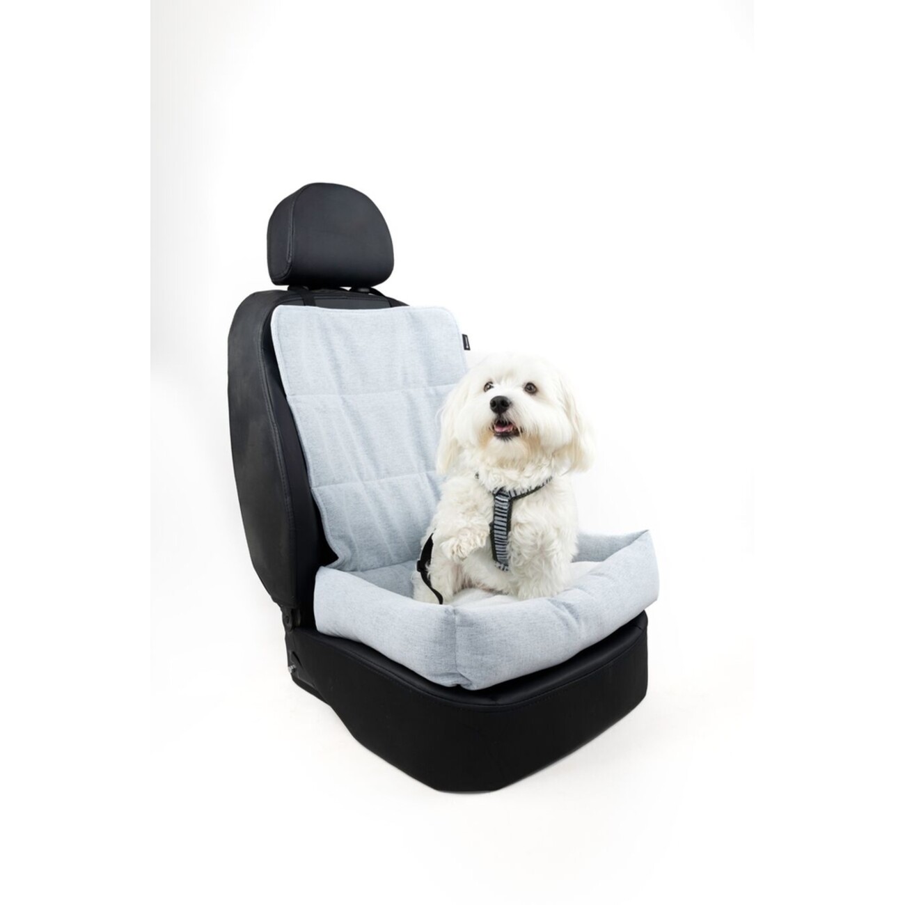 Autositz Beth Hellblau – Sicher & Komfortabel für deinen Hund Bild 2