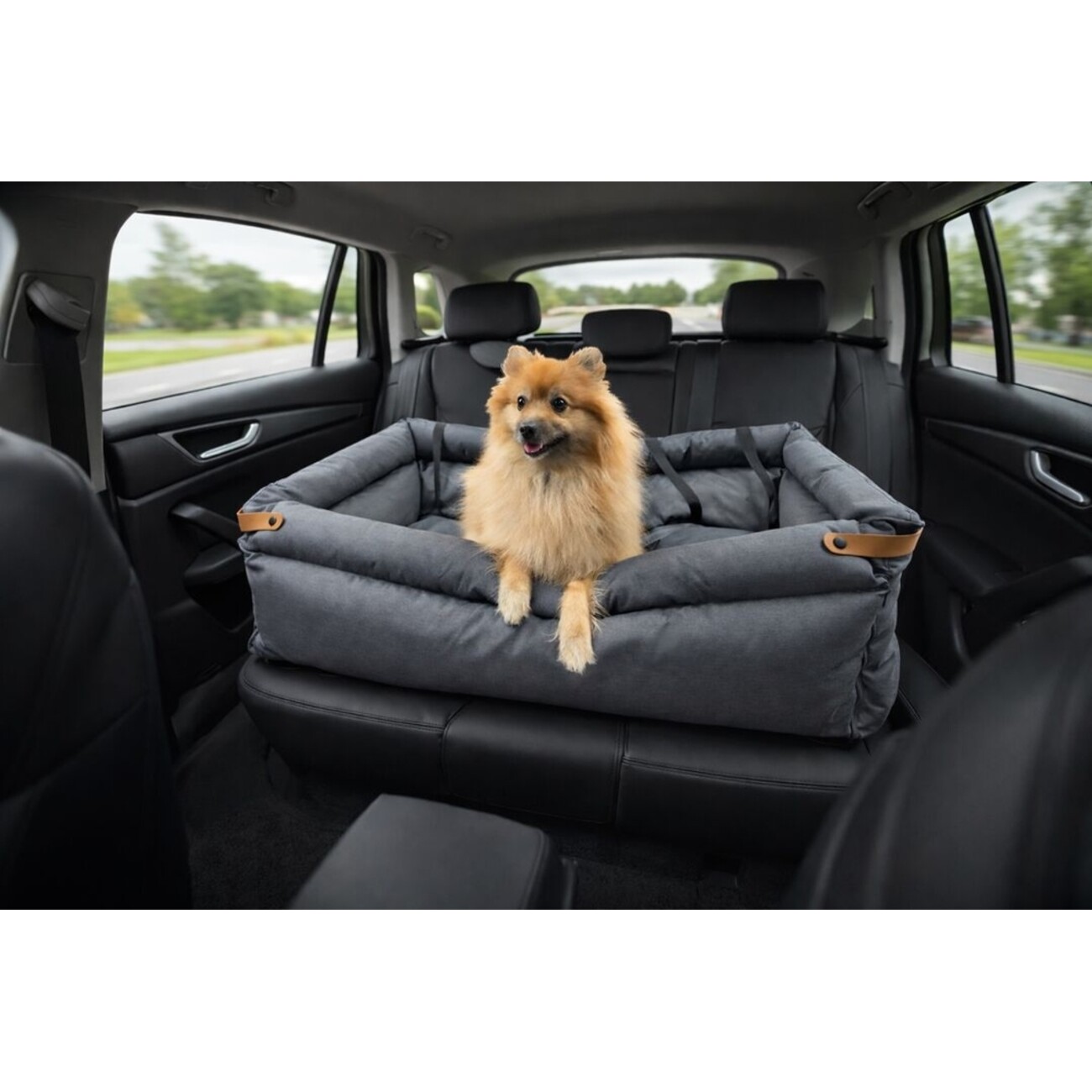 Flamingo Hunde Rückbank Autositz Travis in dunkelgrau Bild 3