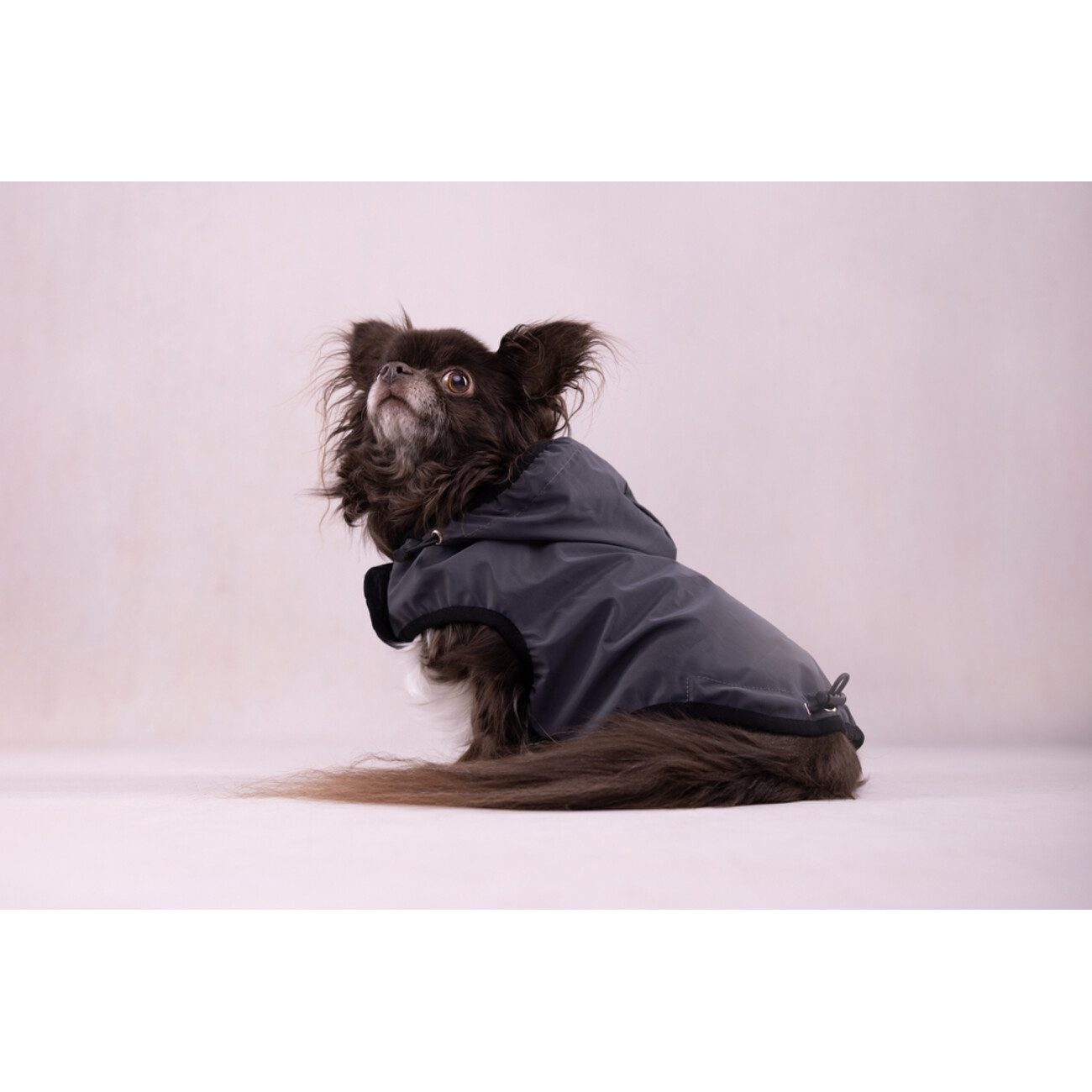 Flamingo Luza Reflektierender Mantel für Hunde – Dein sicherer Begleiter Bild 7