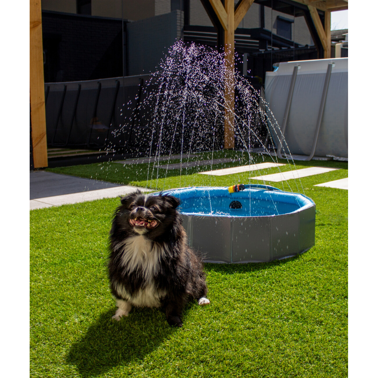 Flamingo Hundepool mit Sprinkle Rand : Dein Sommerspaß 💦 Bild 3