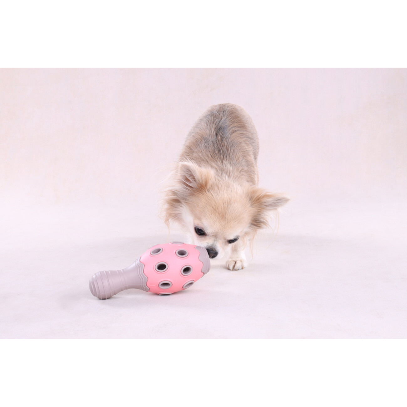 Benty Kegel : Spielspaß & Zahnpflege für deinen Welpen! Bild 3