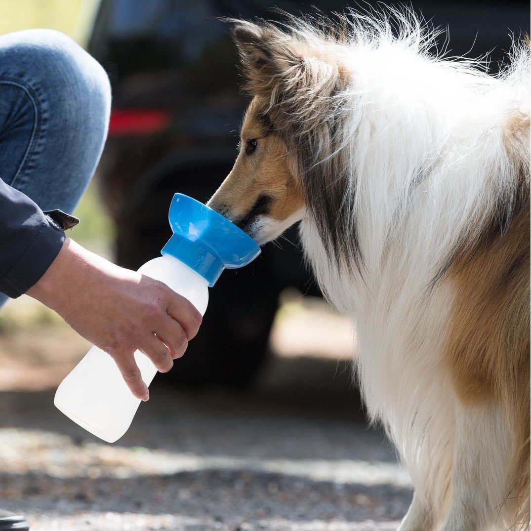 Flasche mit Trinknapf Bild 2