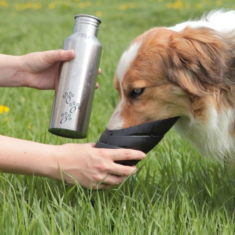 Flasche mit Trinknapf für Hunde unterwegs Bild 2