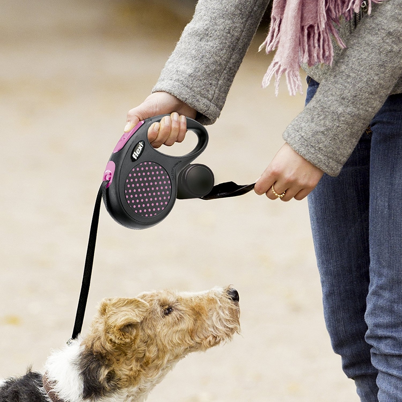 flexi Multibox für Leckerlis oder Kotbeutel Bild 3