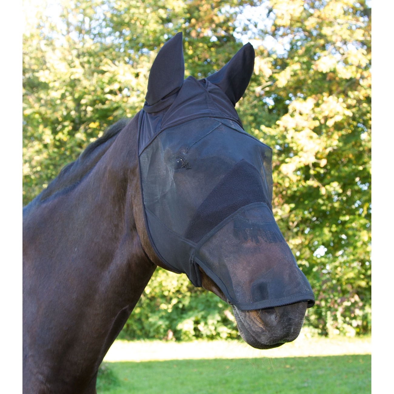 Fliegenmaske mit Ohrenschutz Nüsternschutz Bild 1